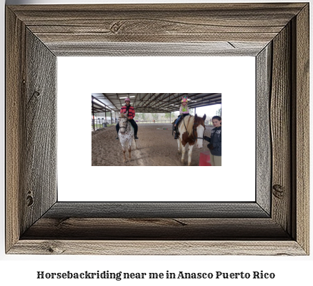 horseback riding near me in Aasco, Puerto Rico